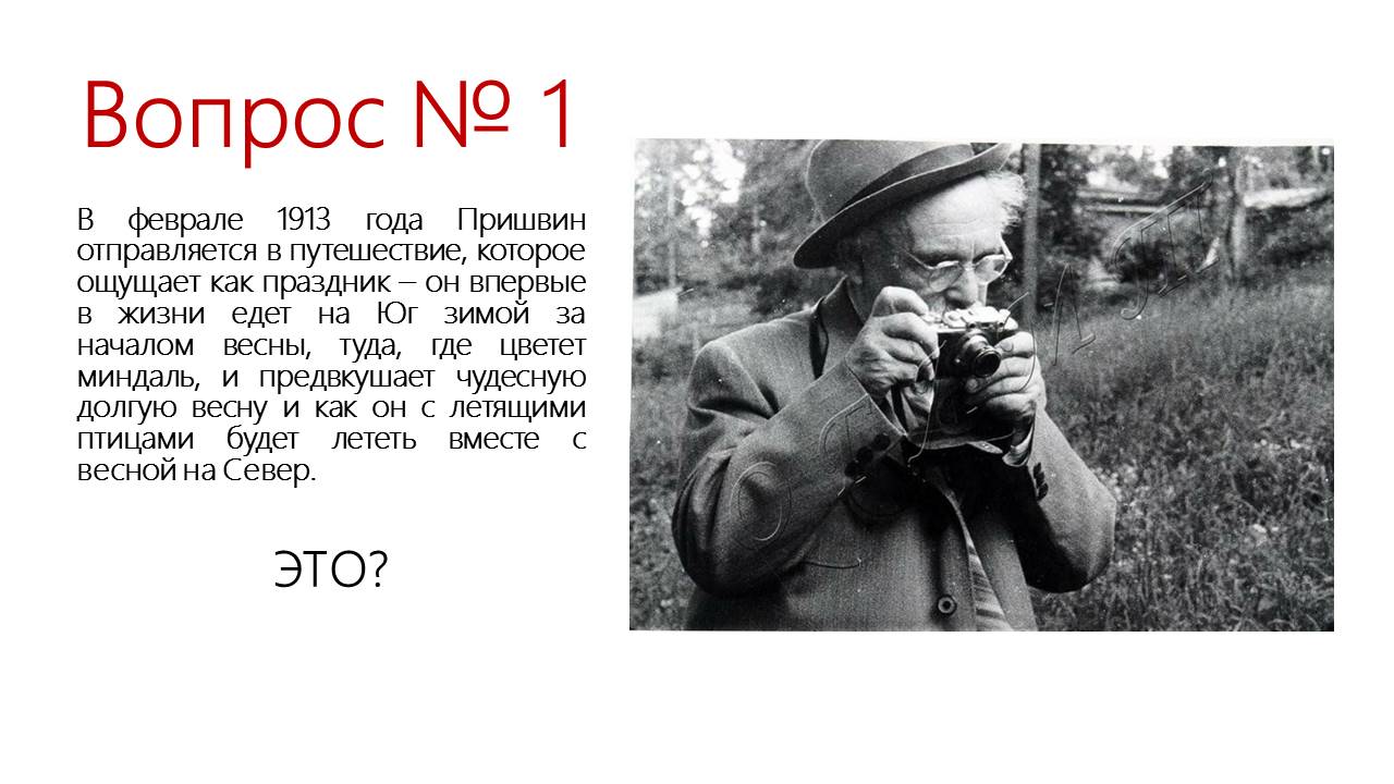 1 13.JPG